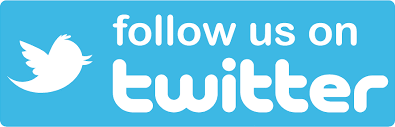 Follow @LipizzanerGAN