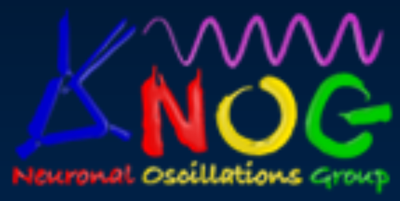 Neuronal Oscillations Group